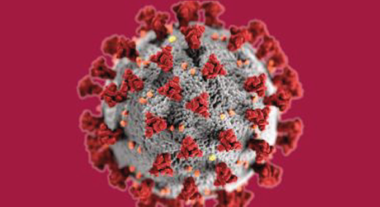 Communications sur le coronavirus avril- juin 2021